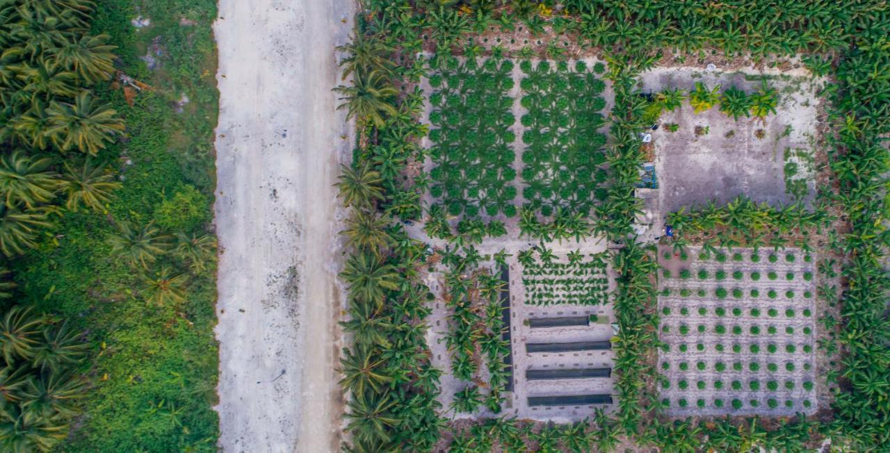 Sunview Residence Kaashidhoo Екстериор снимка