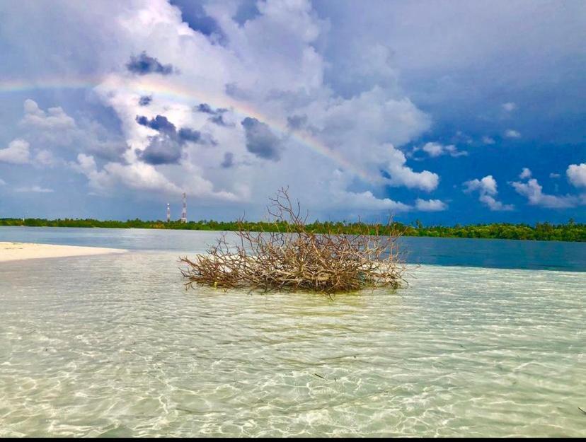 Sunview Residence Kaashidhoo Екстериор снимка